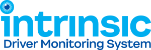 Intrinsic Logo